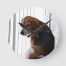 Suche nach alte hunde poster Beagle