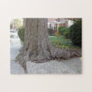 Suche nach sidewalk Gehsteig