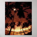 Suche nach französisch polynesien poster Palme