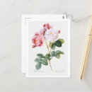 Recherche de rossis cartes postales Floral