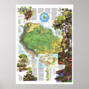 Recherche de amazonie posters Brasil
