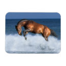 Recherche de francais magnets Mer