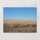 Suche nach cornfield poster Ländlich