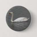 Suche nach schwan buttons Vögel