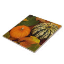 Recherche de citrouille carreaux Action de grâces