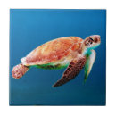 Recherche de vert de mer carreaux Nature