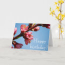 Recherche de cherry blossom anniversaire cartes Rose