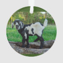 Suche nach niedliche ziege ornamente Baby