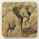 Suche nach afrikanischer elefant untersetzer Kenia