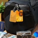 Recherche de humide Aventure