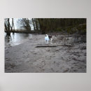 Suche nach jack russell terrier poster Strand
