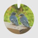 Suche nach schwalbe ornamente Natur