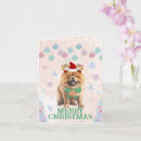 Suche nach chow chow lustig postkarten Weihnachten