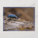 Suche nach sorry postkarten Blau