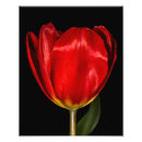 Recherche de profil posters Photographie