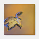 Suche nach ahornblatt magnete Gold