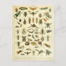 Recherche de dictionnaire cartes postales Livre