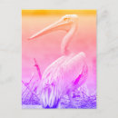 Recherche de pelecanus cartes postales Poche