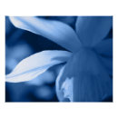 Recherche de floral abstrait posters Botanique
