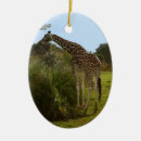 Recherche de safari ornements Nature