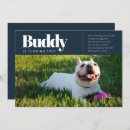 Suche nach doge einladungen Hundegeburt