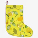 Recherche de citron chaussette de noël Aquarelle