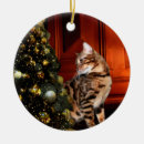 Recherche de chat bengale ornements Noël