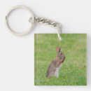 Suche nach kaninchen schlüsselanhänger Quelle