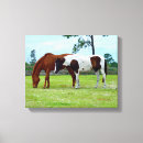 Recherche de cheval impressions sur toile Nature