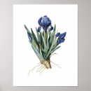 Recherche de copies botaniques posters Illustration