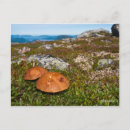 Suche nach felsige berge postkarten Foto