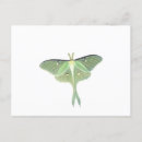 Recherche de luna cartes postales Animaux