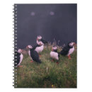 Suche nach puffin kleine notizbücher Tierwelt