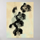 Suche nach orchideen blume poster Fotografie