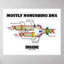 Recherche de dna posters Génétique