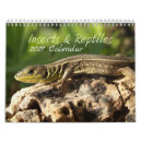 Suche nach käfer kalender Fotografie