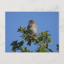 Recherche de gorgeous cartes postales Arbre