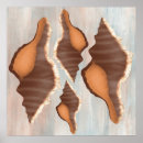 Suche nach vintage muscheln poster Ozean