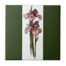 Suche nach vintage iris fliesen Botanisch