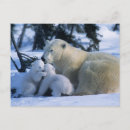 Recherche de manitoba cartes postales Nature