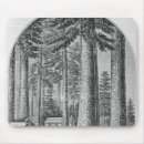 Suche nach immergrün mousepads Bäume