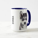 Recherche de siberian tasses Sibérien husky