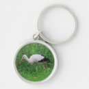 Recherche de cigogne porteclés Oiseau