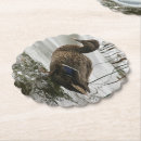 Suche nach enten untersetzer Teich