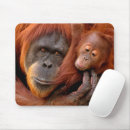 Suche nach orang utan mousepads Affen