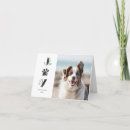 Suche nach katzen und hunde karten Für haustiere