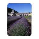 Recherche de vaucluse magnets Travel
