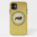 Recherche de castor coques Faune