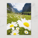 Recherche de lauterbrunnen posters Nature