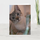 Recherche de alerte vœux cartes Mignon